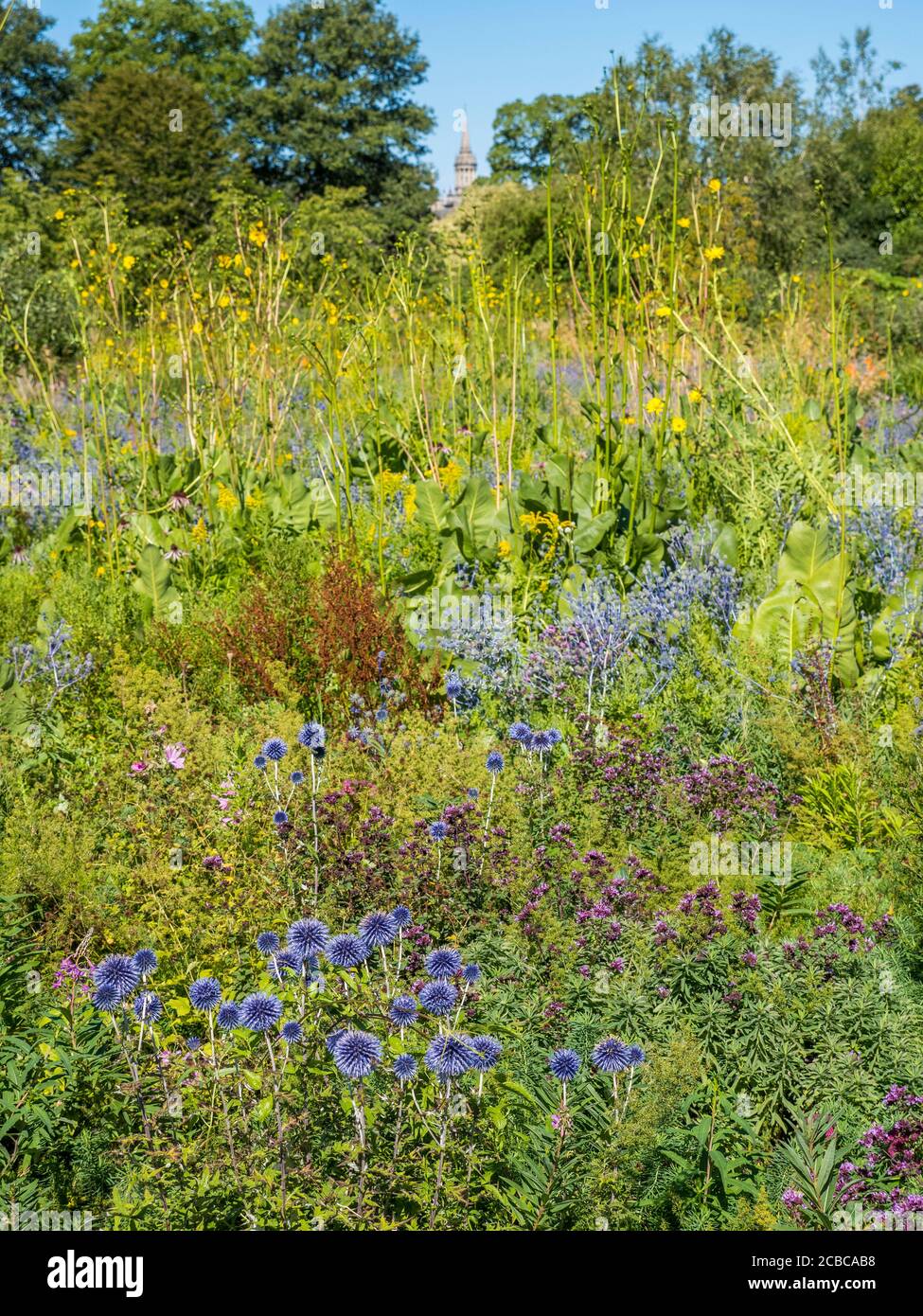 Oxford botanic garden rock garden hi-res stock photography and images ...