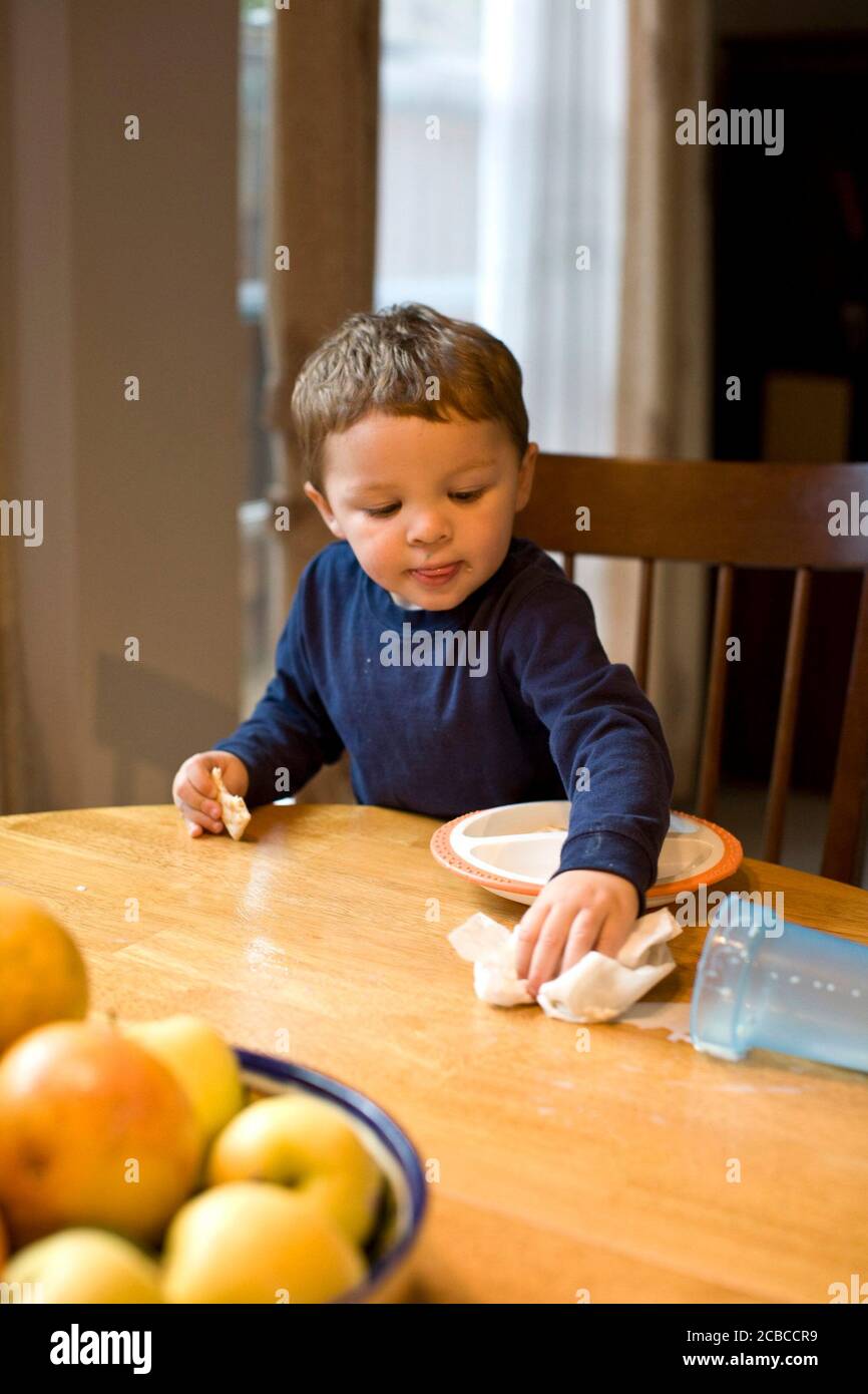 Twoyearold boy uses paper towel to clean up spilled milk from kitchen