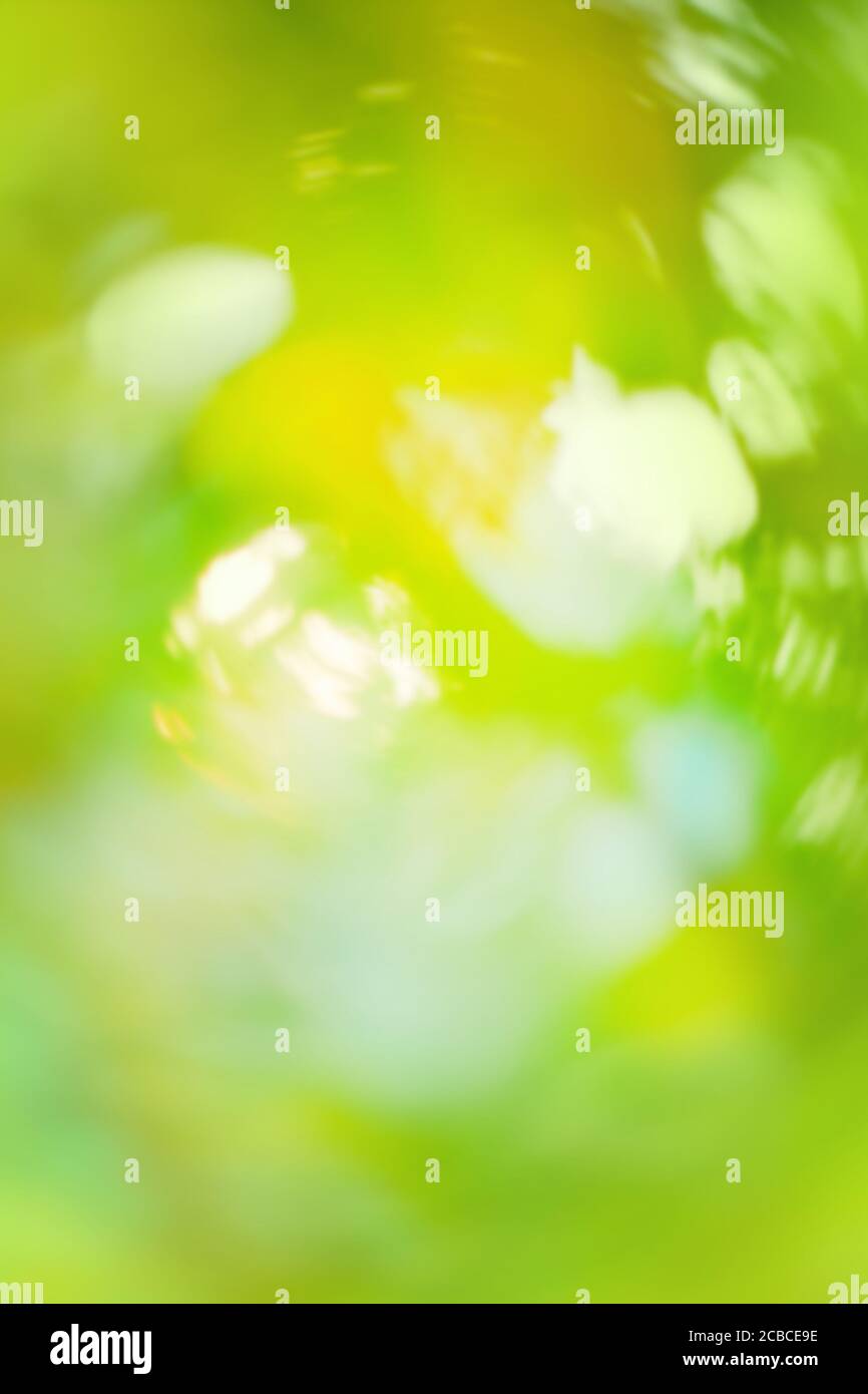 Bokeh green nature. Green nature bokeh background with copy space. Ecology  nature concept Stock Photo - Alamy