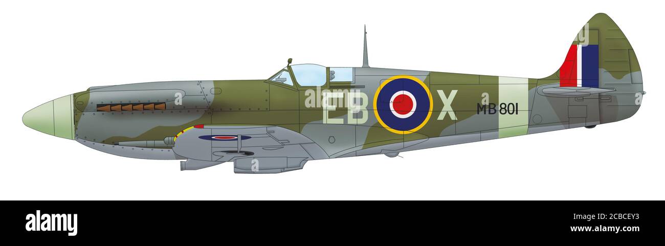 Supermarine Spitfire Mk XII (MB801, EB○X) piloted by Flight Supermarine Spitfire Mk XII (MB801, EB○X) piloted by Flight
