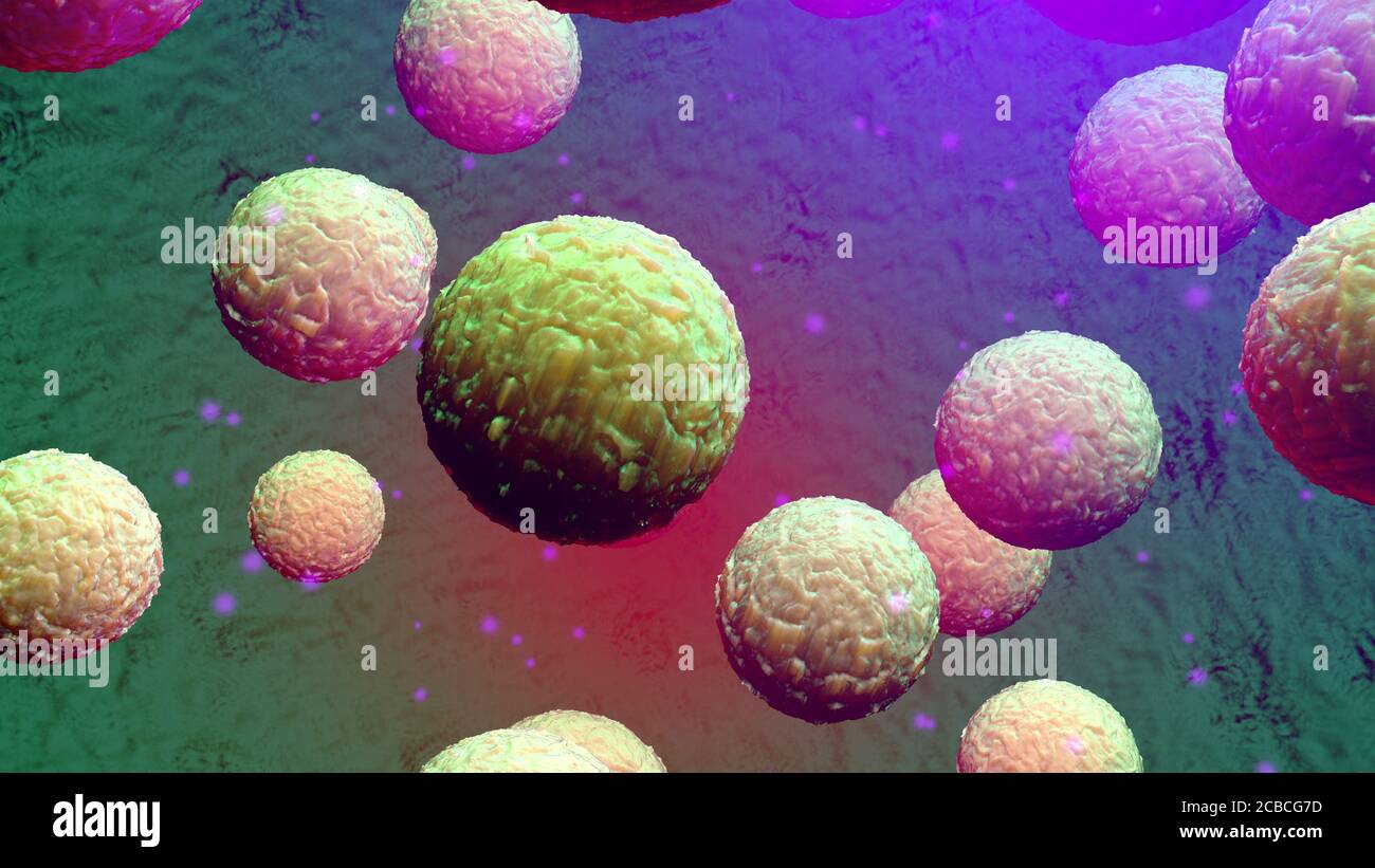 Chromosome floating organism hi-res stock photography and images - Alamy