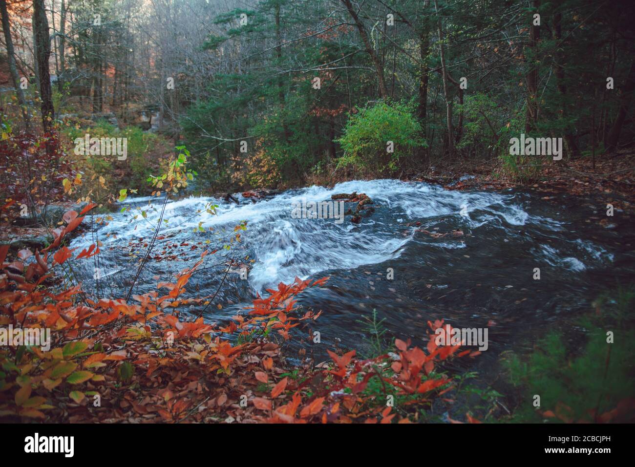 The seething water of the mountain river that is running through autumn forest in Litchfield county Connecticut Stock Photo