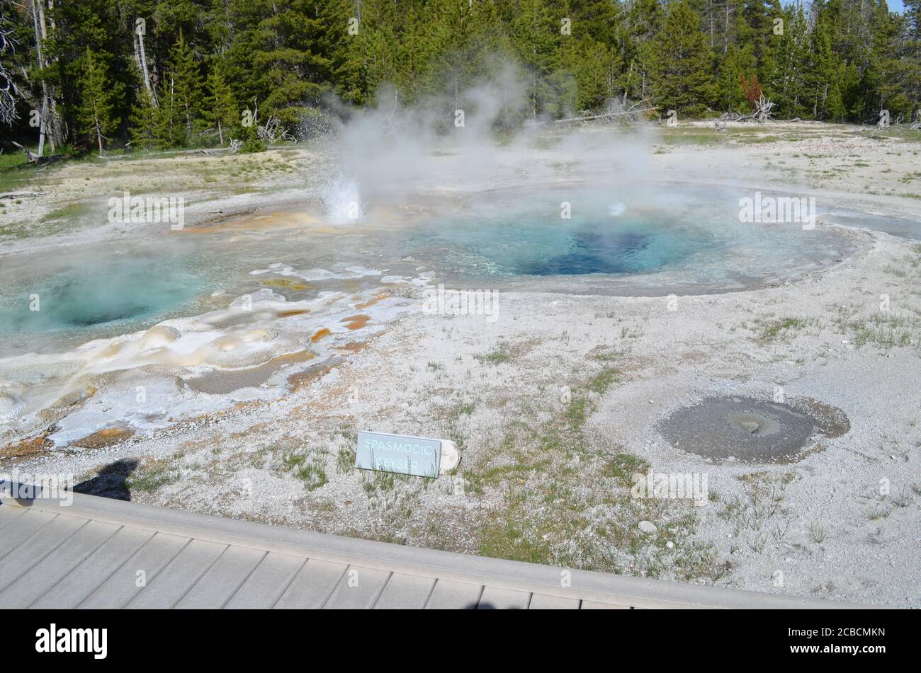 YELLOWSTONE NATIONAL PARK, WYOMING - JUNE 8, 2017: Spasmodic Geyser Erupts in the Sawmill Group in Upper Geyser Basin Stock Photo