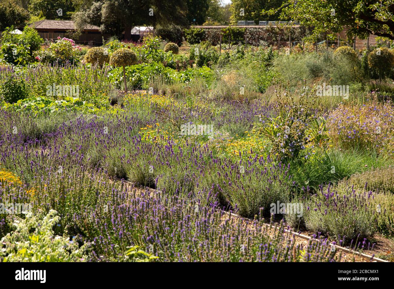 Ham House and Gardens, Richmond, London, UK Stock Photo Alamy