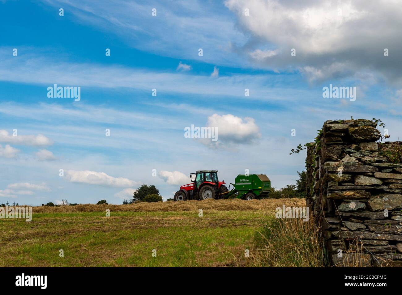 Drinagh, West Cork, Ireland. 12th Aug, 2020. Evan Wilson bales hay on the Drinagh farm of George Wilson using a Massey Ferguson 6475 and McHale F550 baler. Credit: AG News/Alamy Live News Stock Photo
