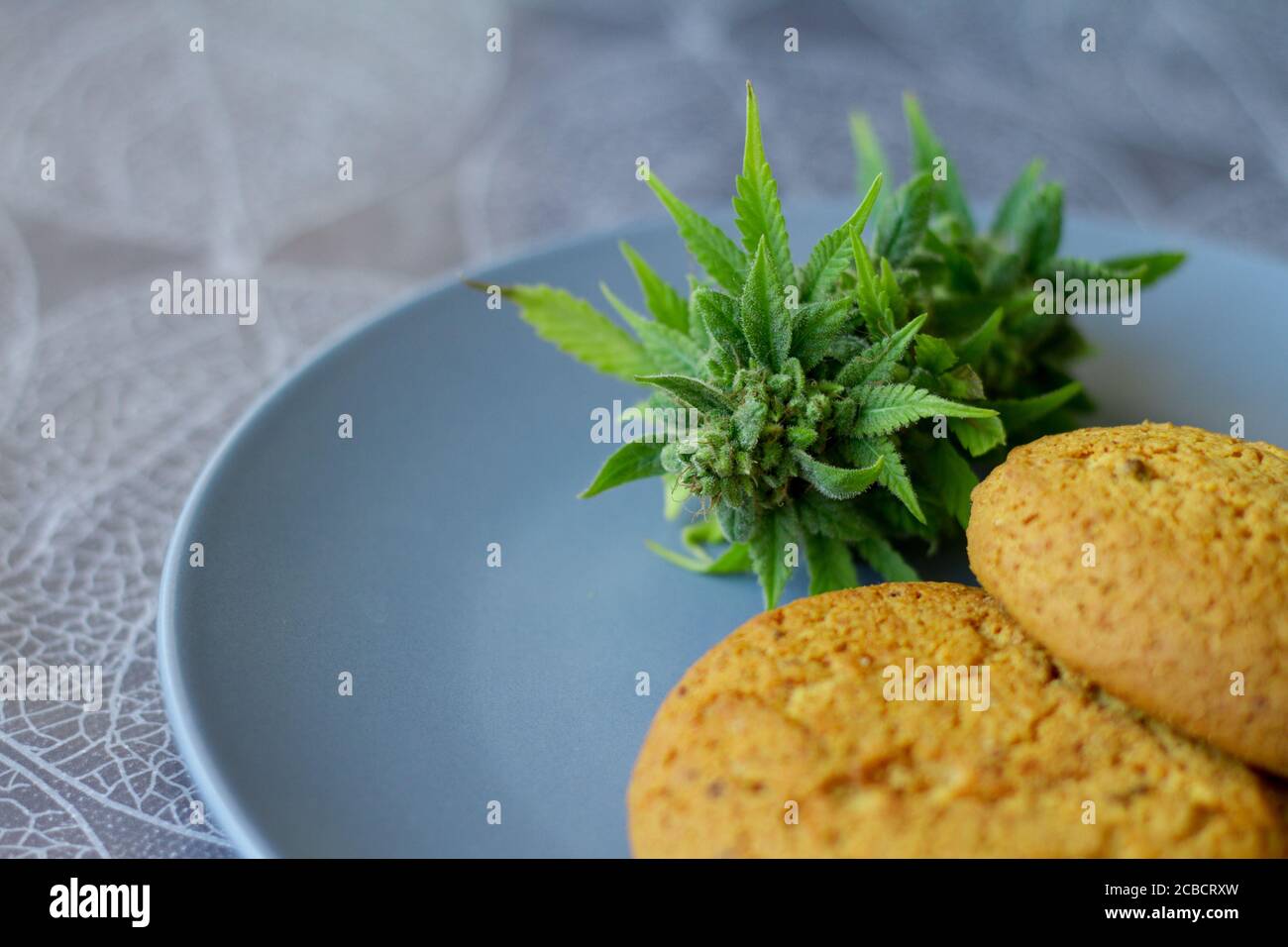 Cookies with cannabis and buds of marijuana on the plate. Can of cannabis buds CBD. Medical Legal Marijuana. Stock Photo