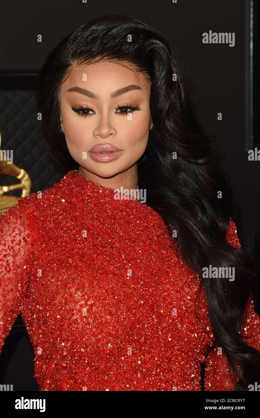 LOS ANGELES JAN 26 Blac Chyna at the 62nd Grammy Awards at the