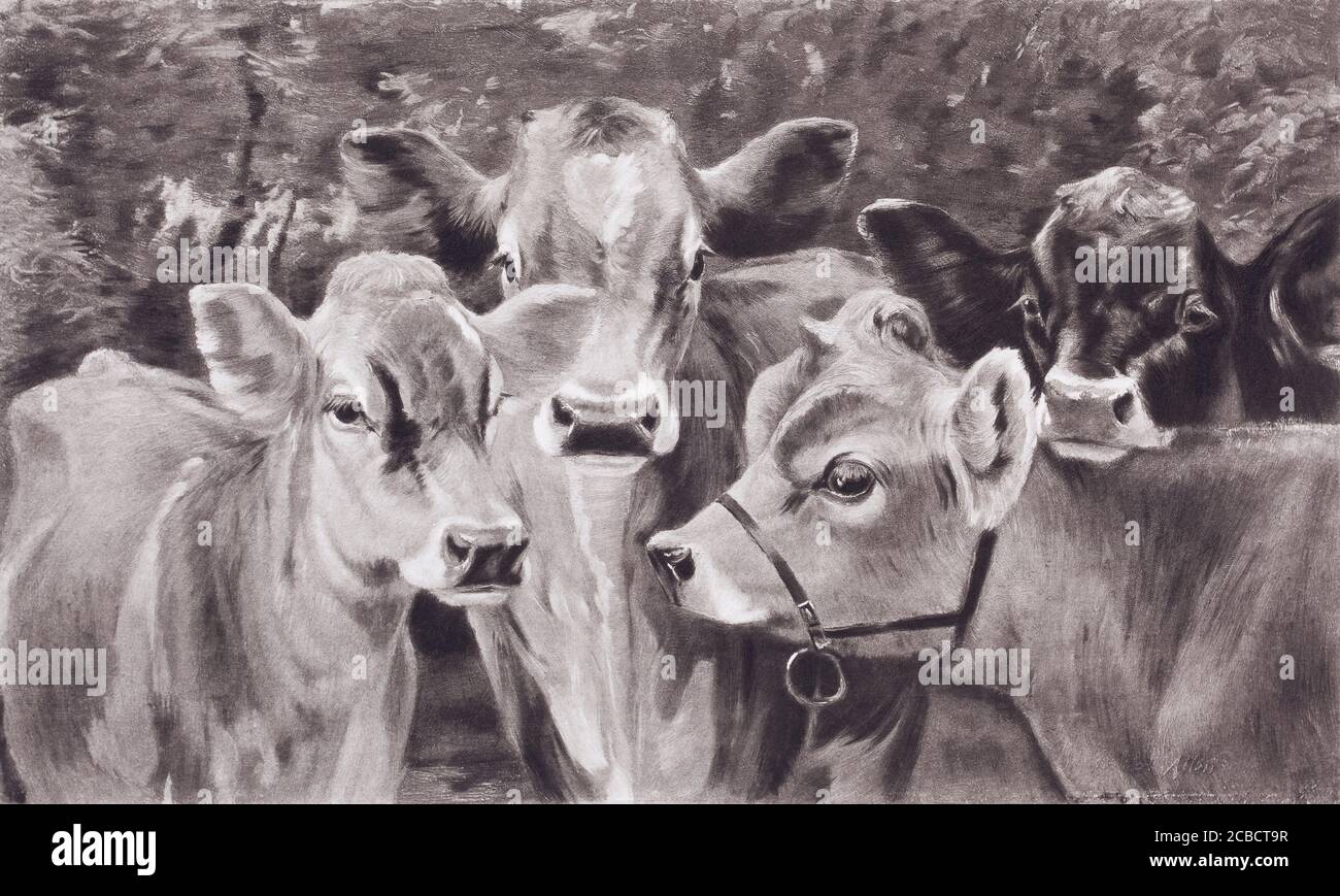 1890 photogravure of a Thomas Allen painting with the caption Thoroughbreds -Thomas Allen, Jr. (1849-1924) Born St. Louis, Missouri. Died Boston, Mas Stock Photo
