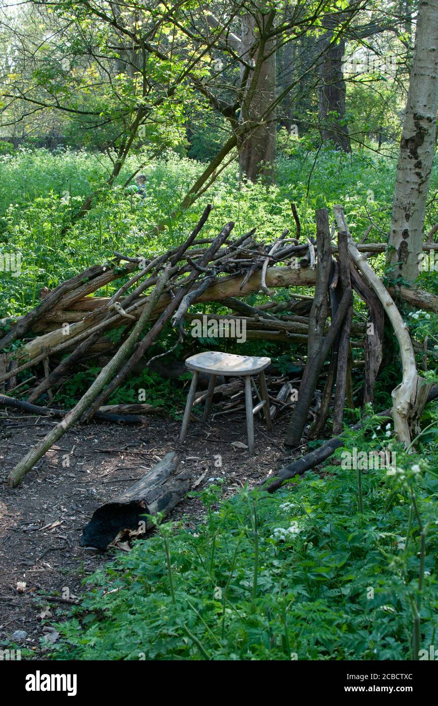 stool and den in woods Stock Photo