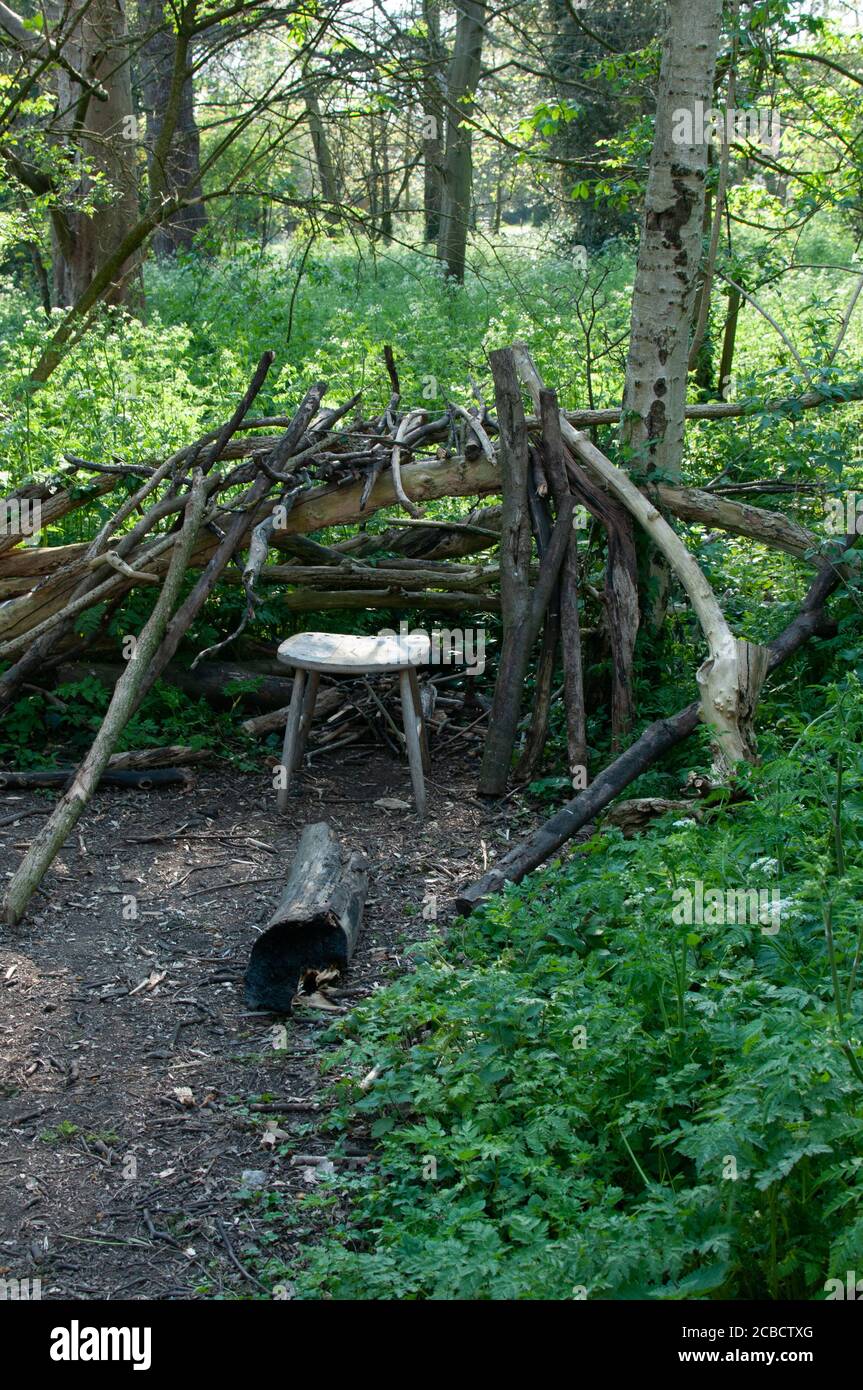 Stool and den in woods Stock Photo