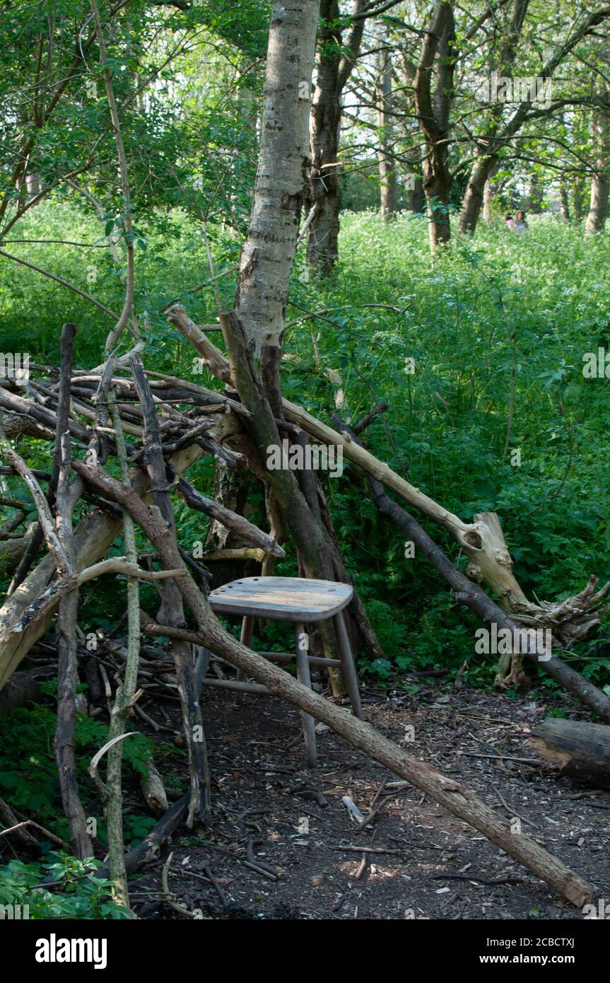 Stool and twigs in woods Stock Photo