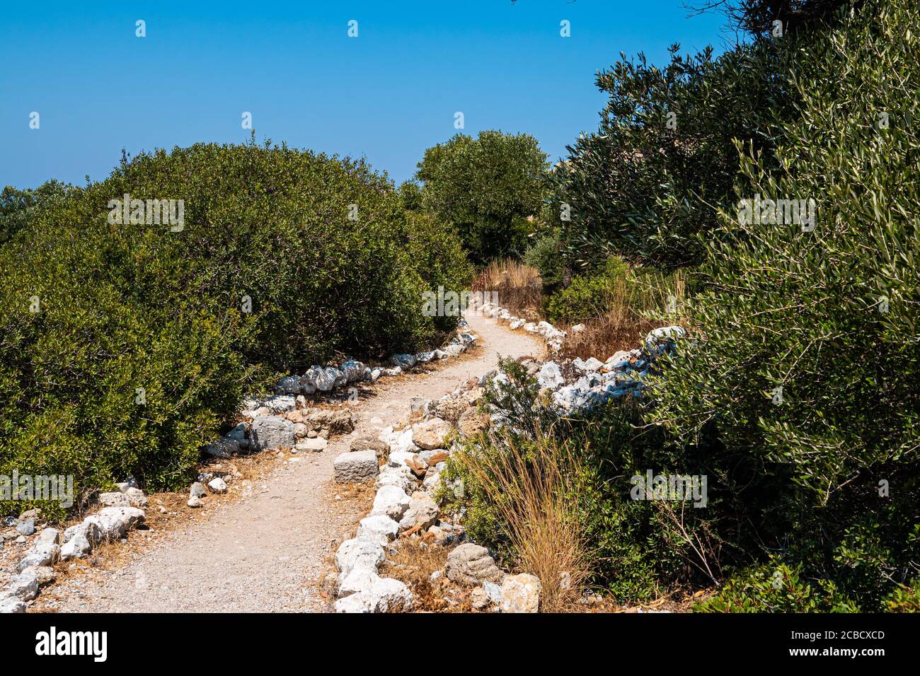 Winding soil path road through sunny green maquis tree Stock Photo