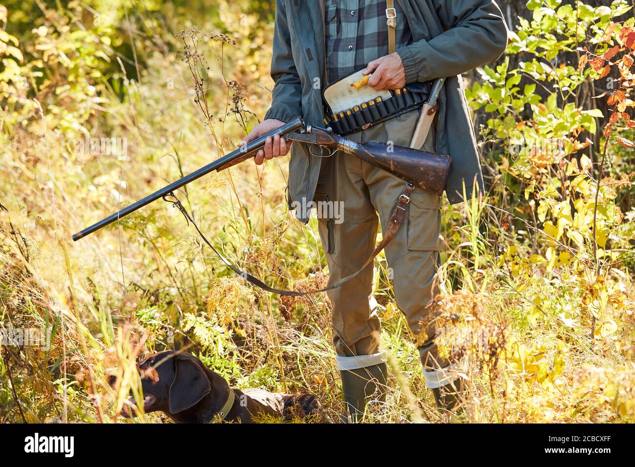 Man going to hunt in forest, opened cartridge for shotgun Stock Photo