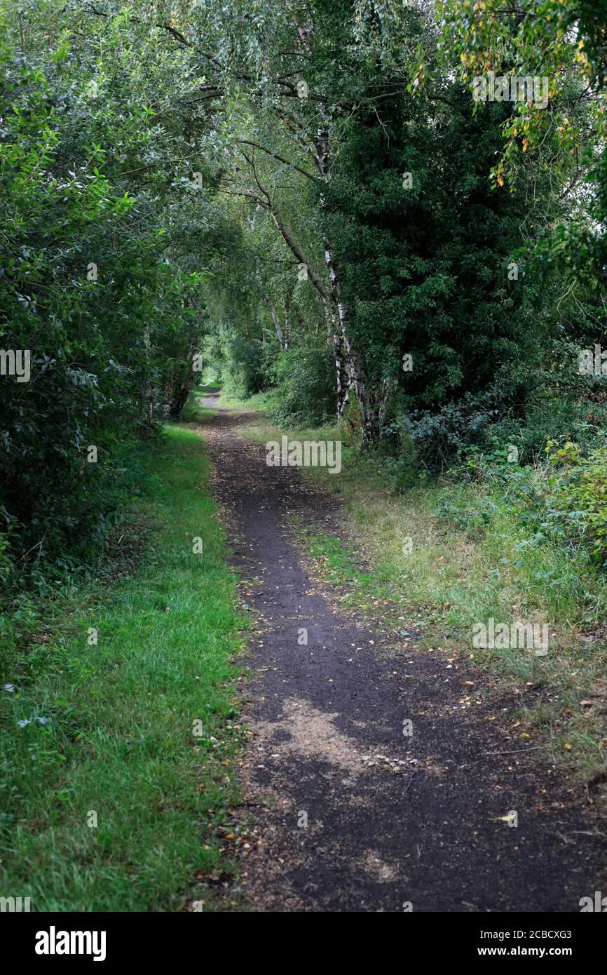 Tree lined old railway line walk East Yorkshire UK Stock Photo Alamy