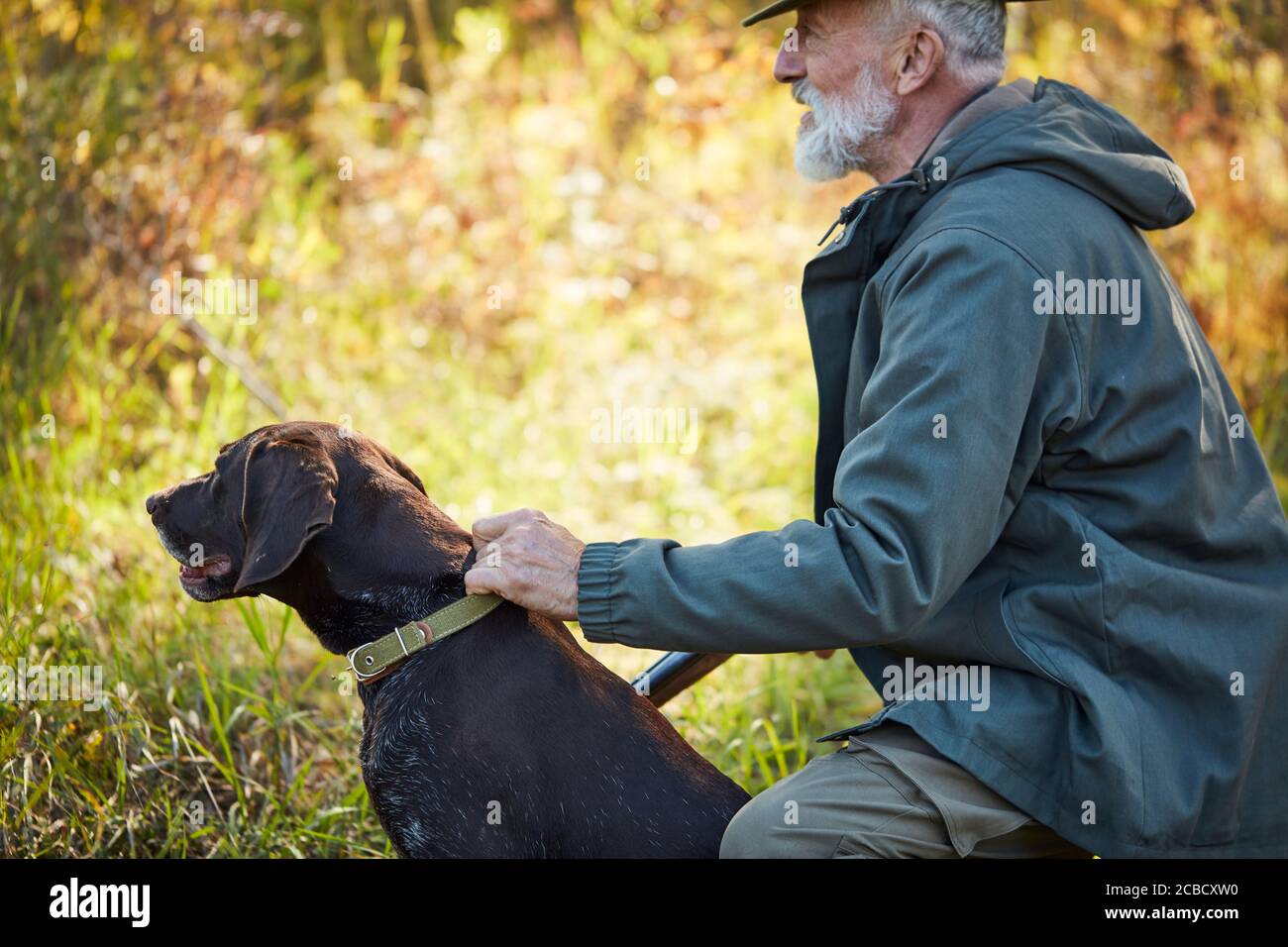 Senior hunter with gun and dog hunting in forest Stock Photo Alamy