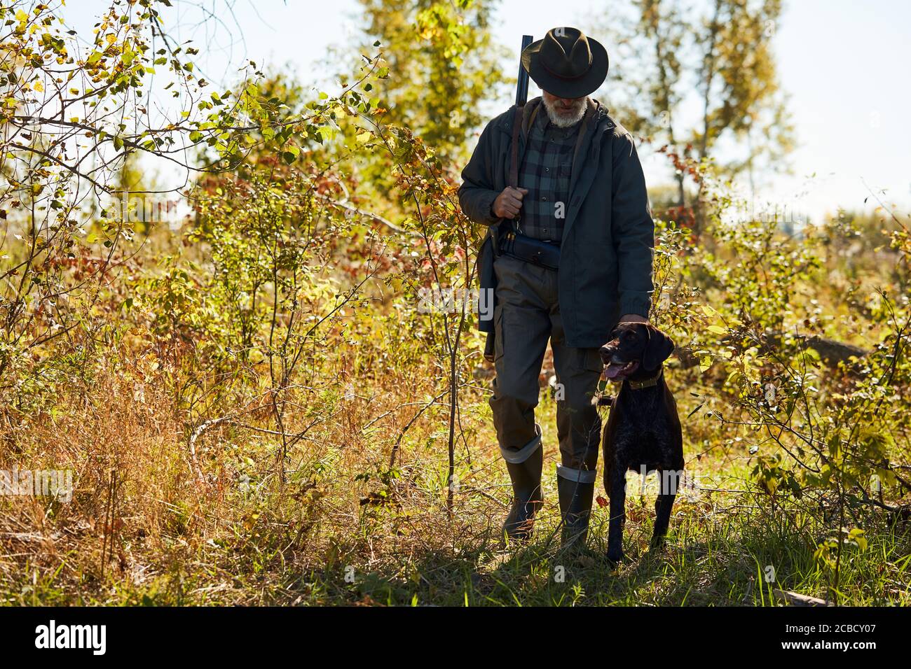 Older man with black labrador retriever with all equipment go hunting. Active hunting time Stock Photo