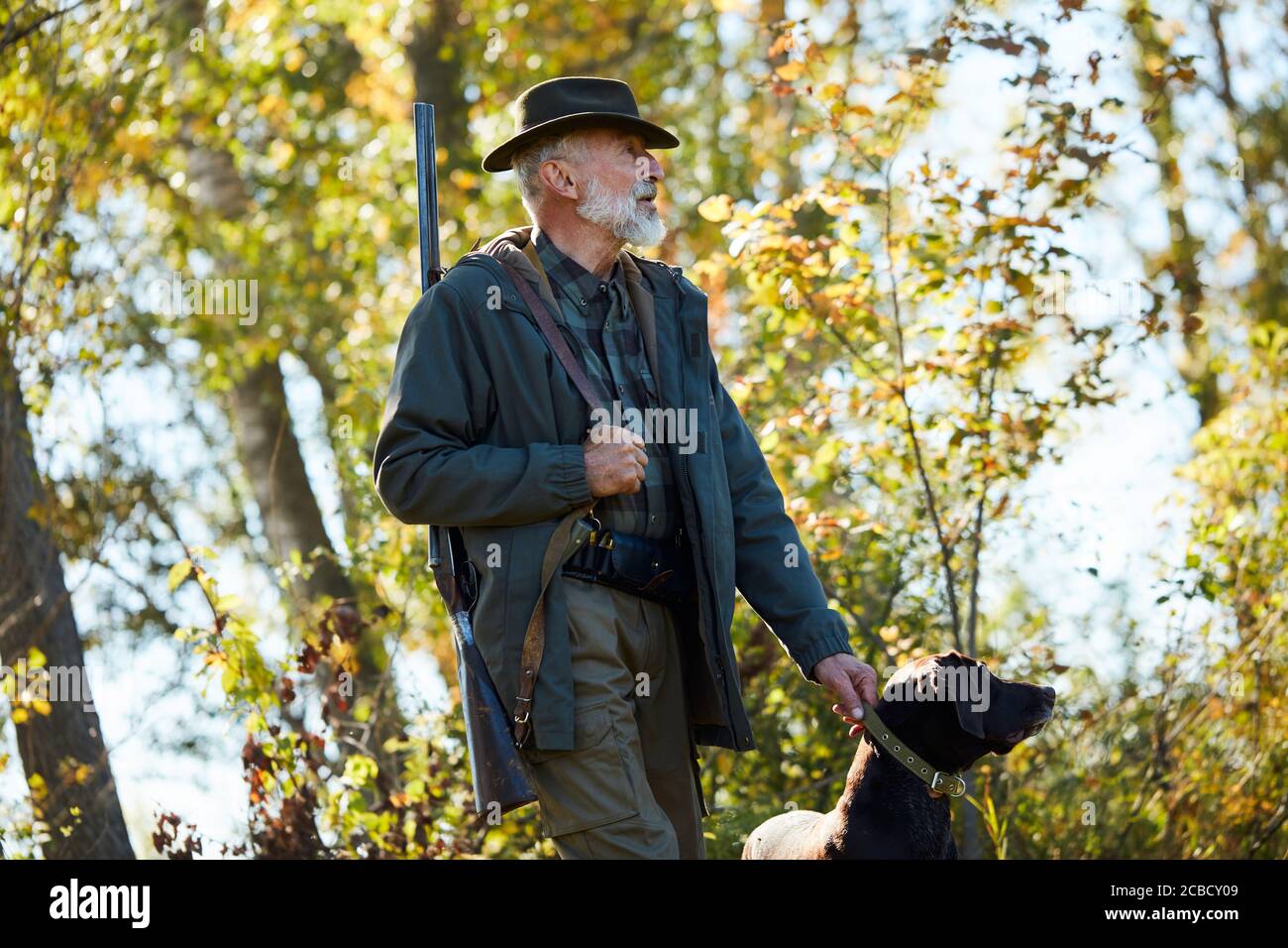 Older man with black labrador retriever with all equipment go hunting. Active hunting time Stock Photo