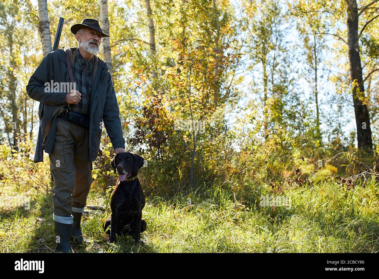 Older man hunting with his dog in forest, sunny weather, looking for ...