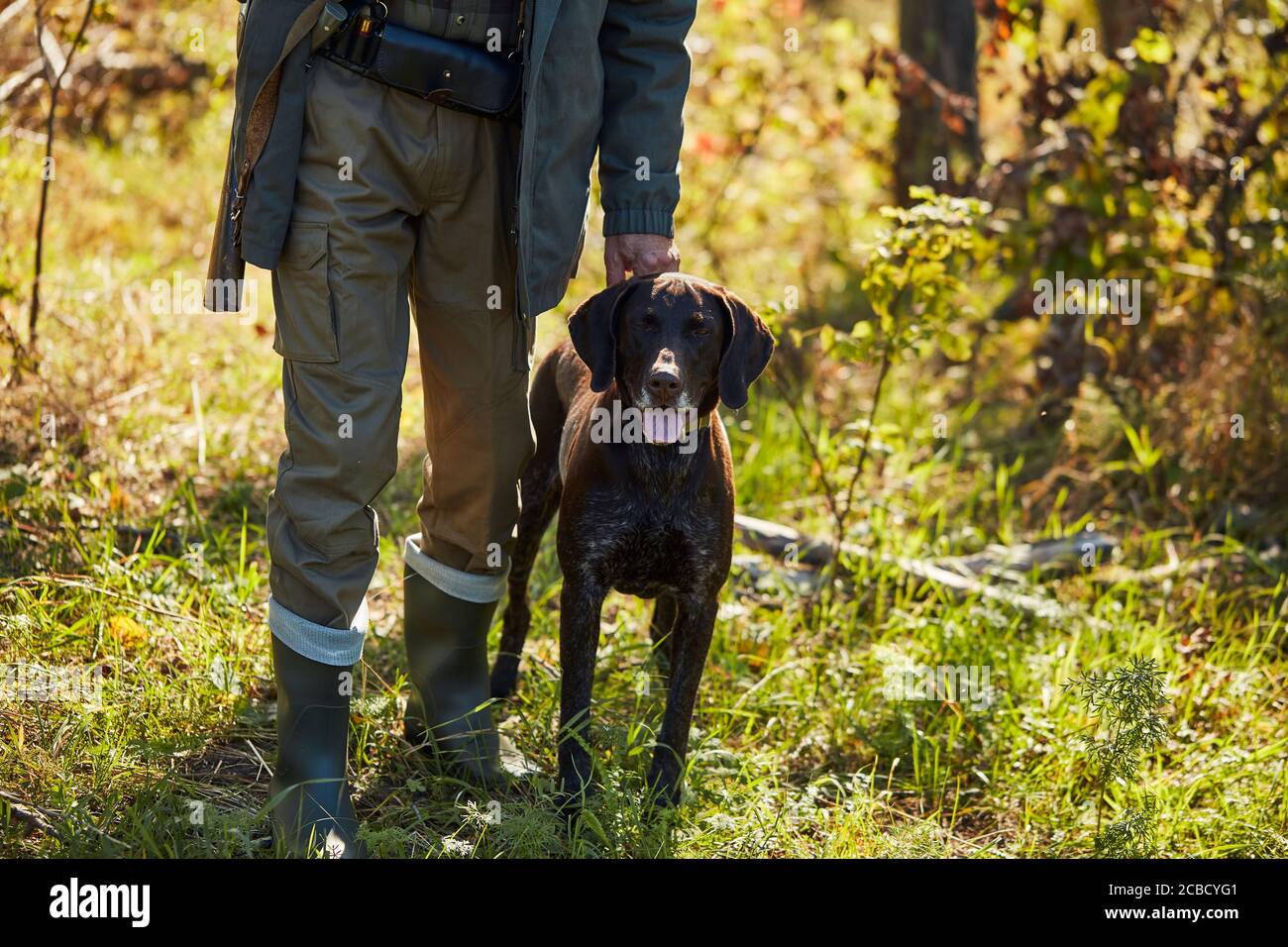 Man with black labrador retriever with all equipment go hunting. Active hunting time Stock Photo
