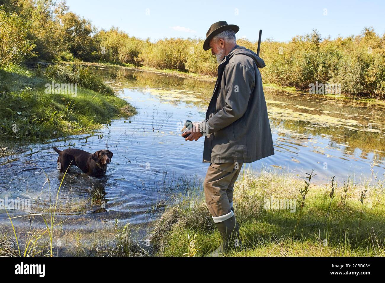 Senior hunter hunt on ducks in autumn, in lake. Dog help him to hunt
