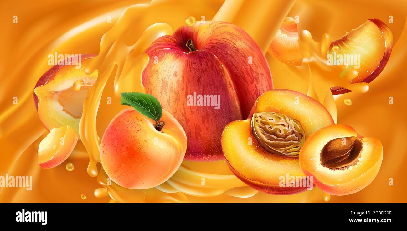 Whole and sliced peaches and apricots in fruit juice Stock Vector Image