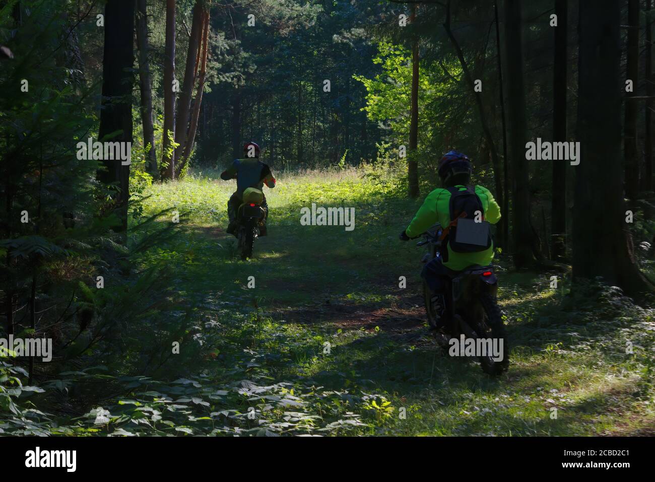 Sportsmen on motorcycles on a forest track, rear view. Stock Photo