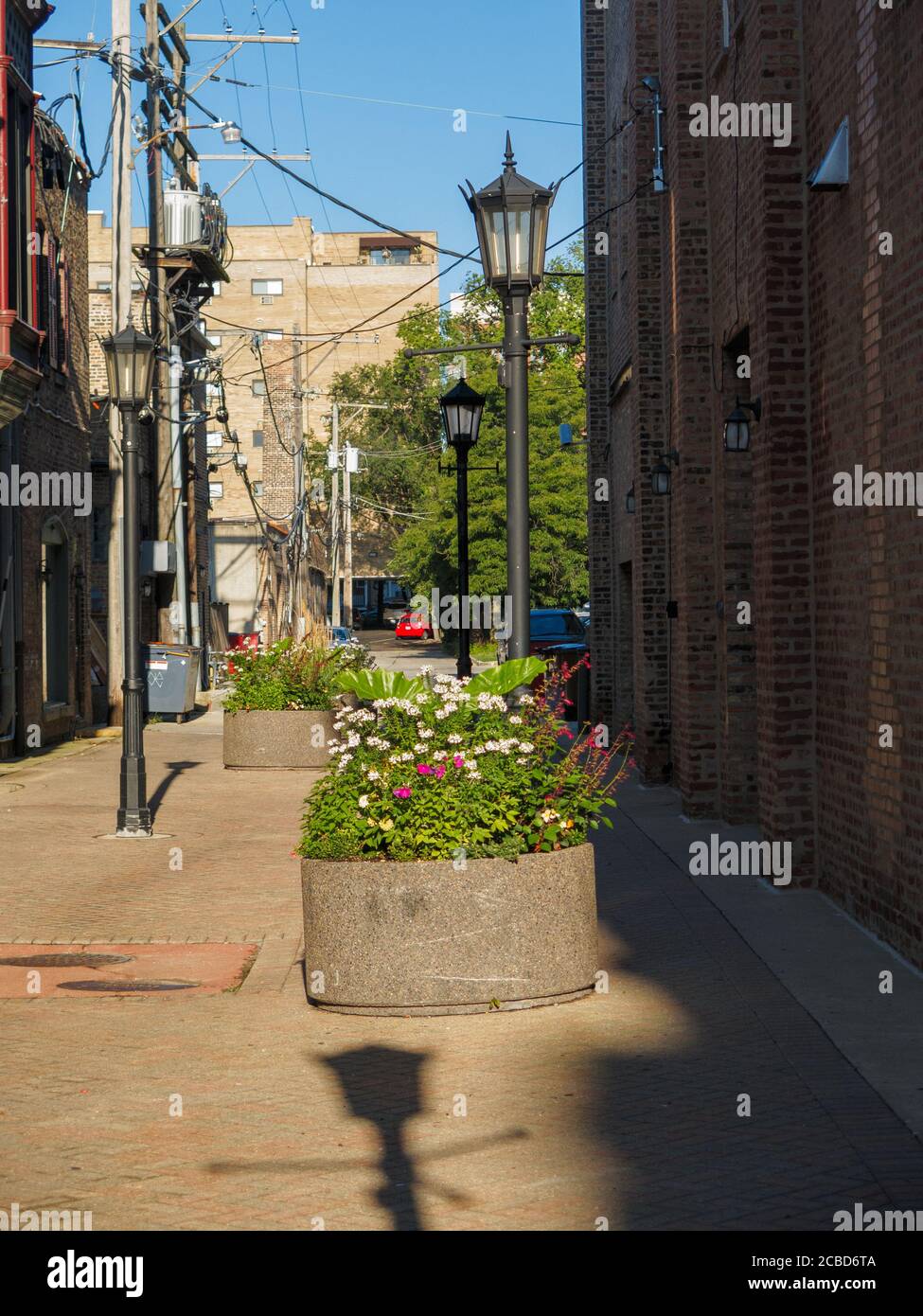 Brick alley off of Oak Park Avenue, Oak Park, Illinois Stock Photo Alamy