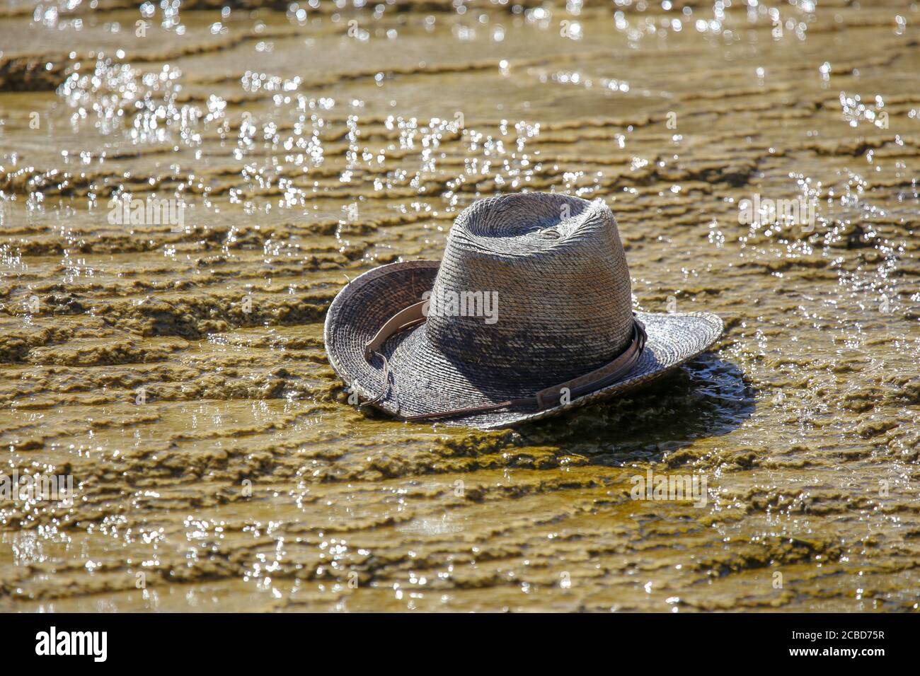 Wide brimmed hat in thermal feature in Yellowstone National Park Stock Photo