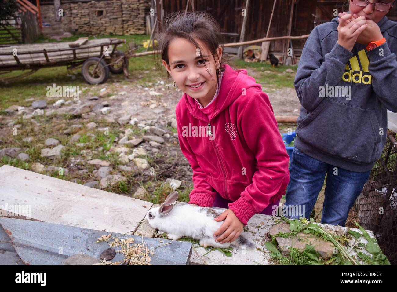 Maramures / Romania - August 28, 2019: nice romanian girl playing with a white rabbit in rural area farm Stock Photo