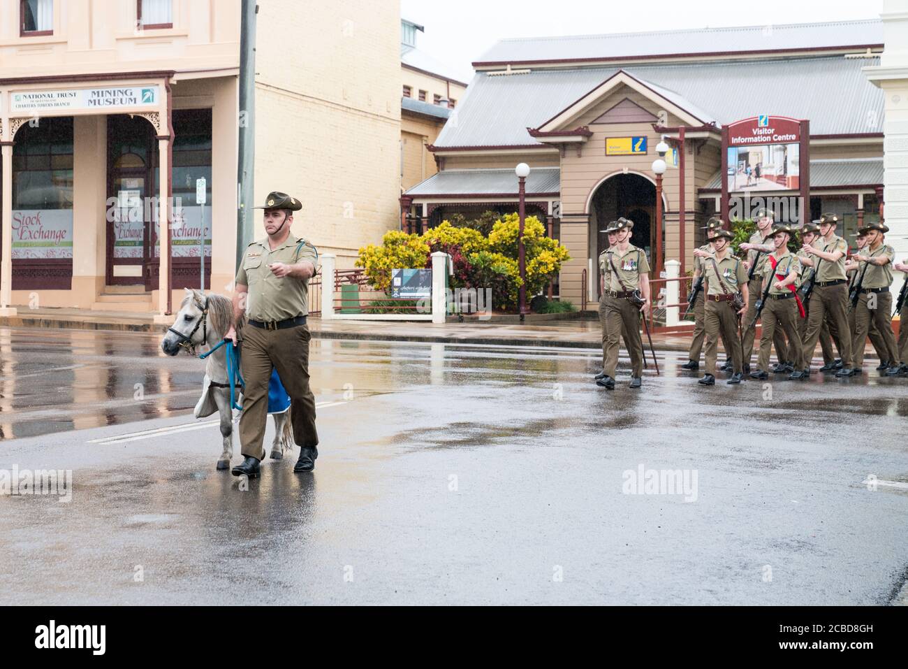 Charters Towers, Australia - April 25, 2019: Shetland pony mascot Septimus Quintus or Seppie leads the Anzac Day march in the rain Stock Photo