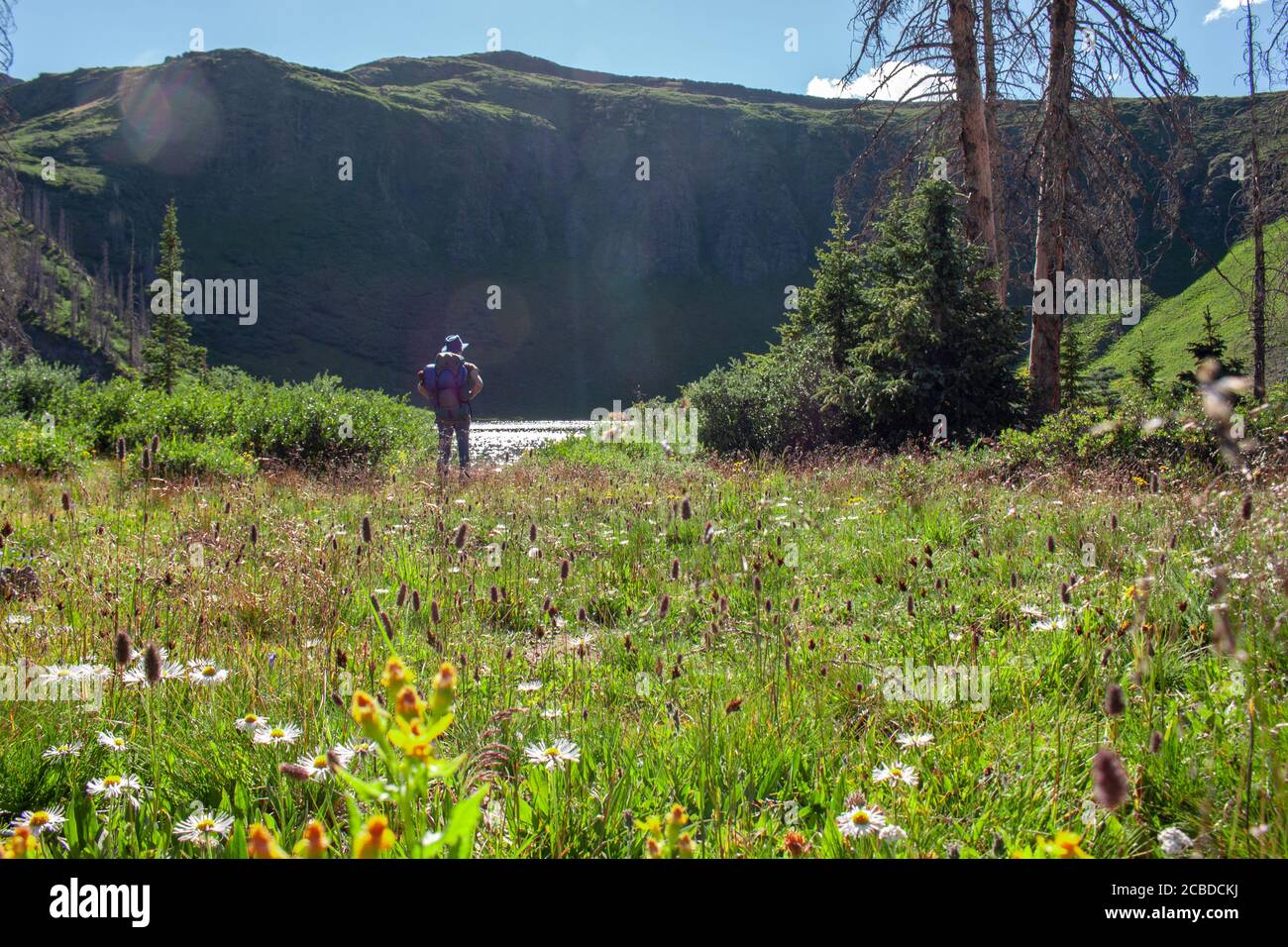 San juan wilderness hi-res stock photography and images - Alamy