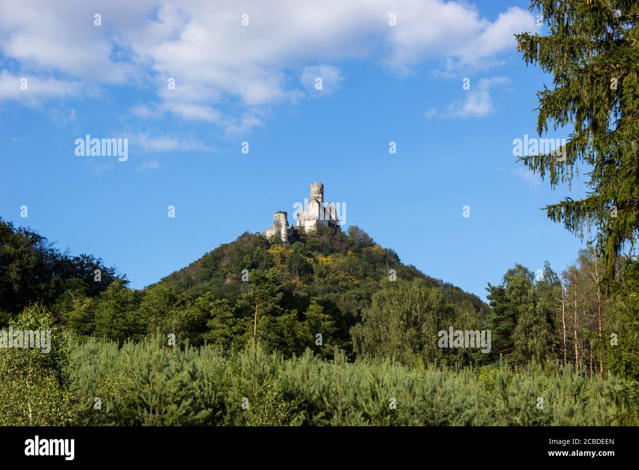 Panoramic view of Bezdez castle in the Czech Republic. In the foreground there are trees, in the background is a hill with castle and there are a whit Stock Photo