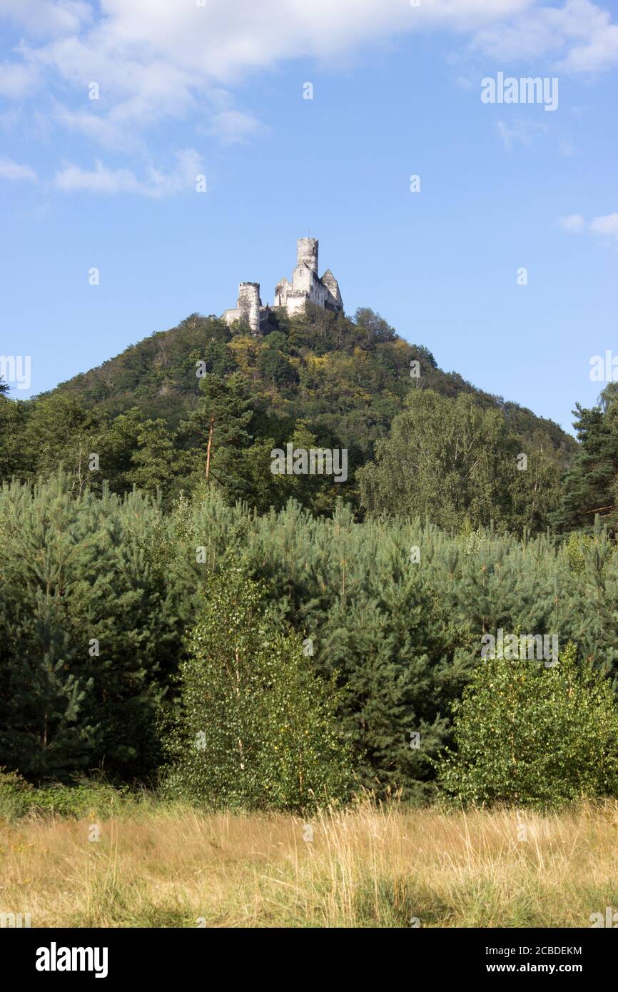 Panoramic view of Bezdez castle in the Czech Republic. In the foreground there are trees, in the background is a hill with castle and there are a whit Stock Photo