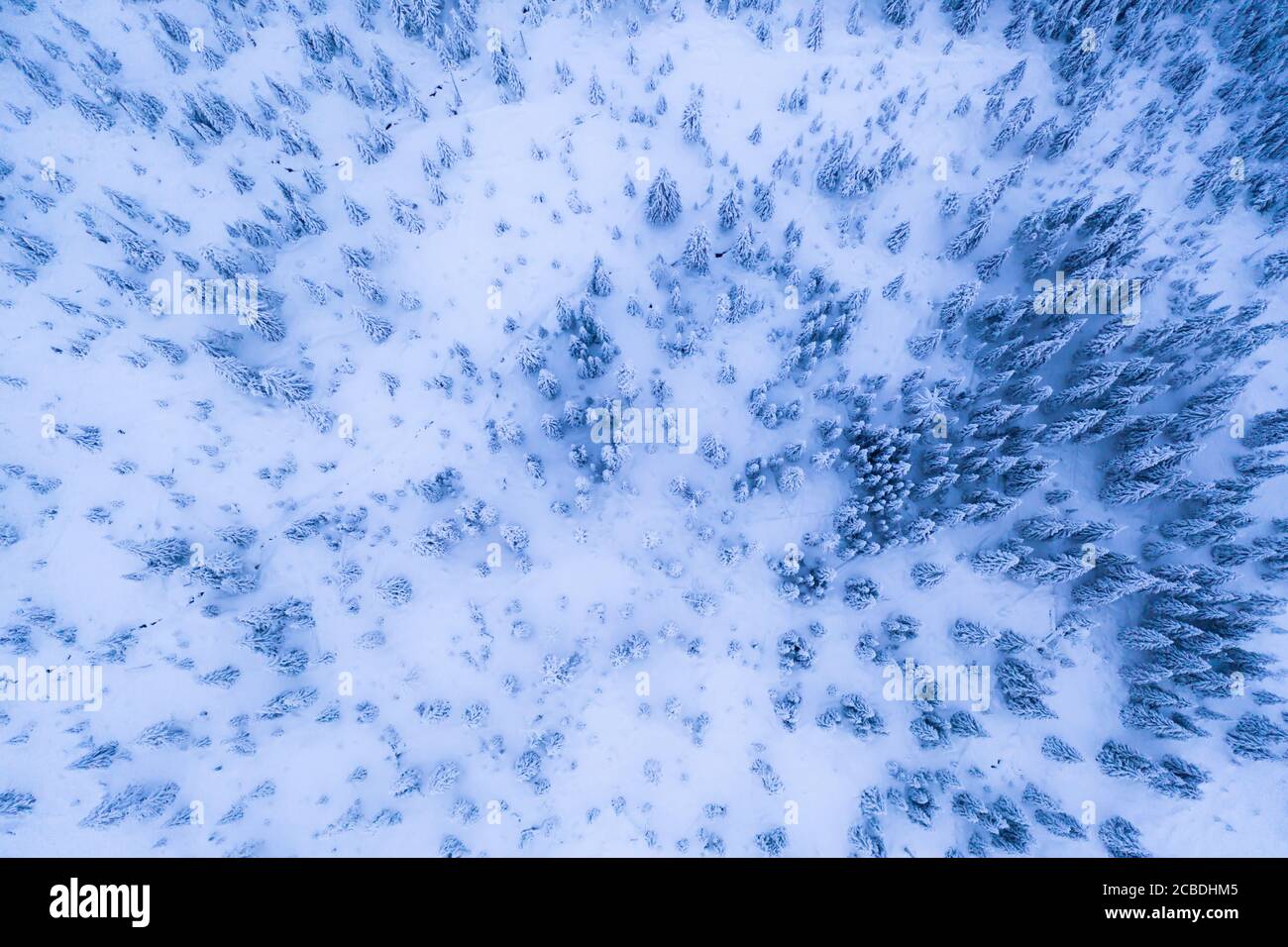 Aerial flying over snowy forest hi-res stock photography and images - Alamy