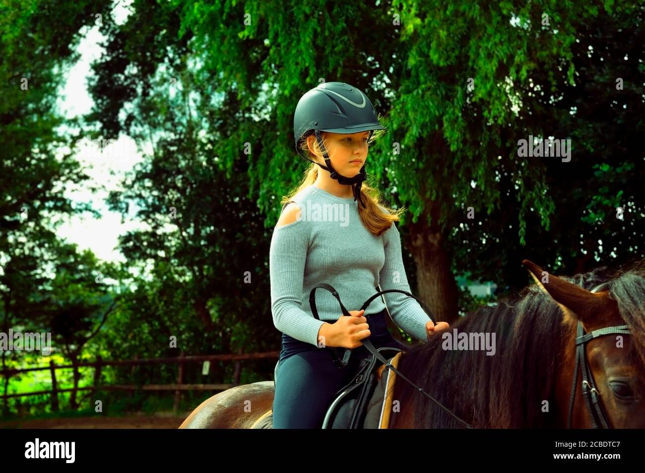 Portrait of cute girl in helmet horseback riding on brown horse Stock