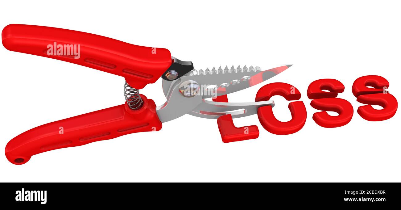 The concept of loss cuts. The pruner cuts the red word LOSS. Isolated. 3D illustration Stock