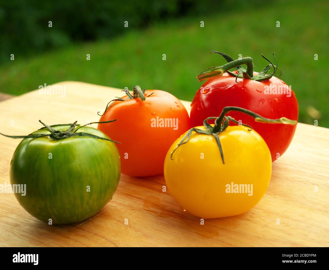 Close-up of green, orange, yellow and red tomatoes on a wooden table Stock Photo