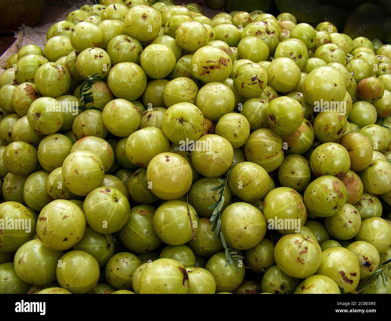 gooseberry shop, Tamil Nadu, is famed for its Dravidian-style Hindu temples. A land of cultural and religious heritage Stock Photo