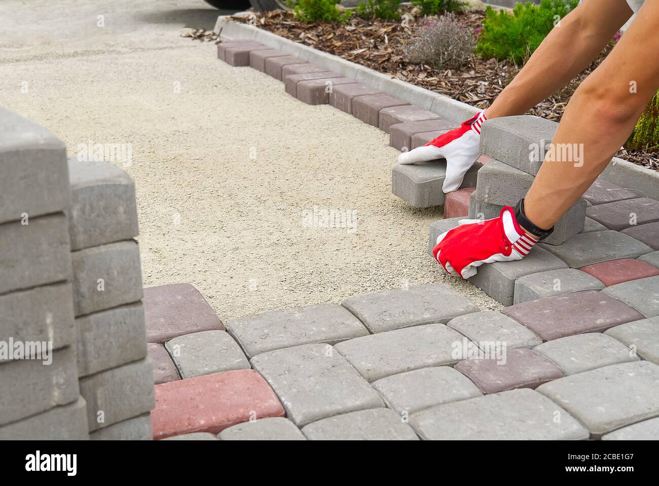 worker laying paving stones. stone pavement, construction worker laying