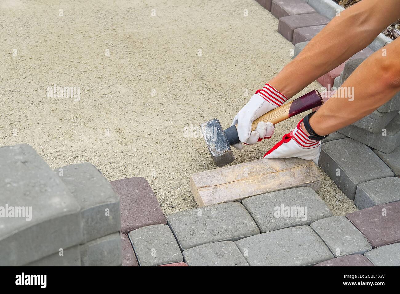 worker laying paving stones. stone pavement, construction worker laying