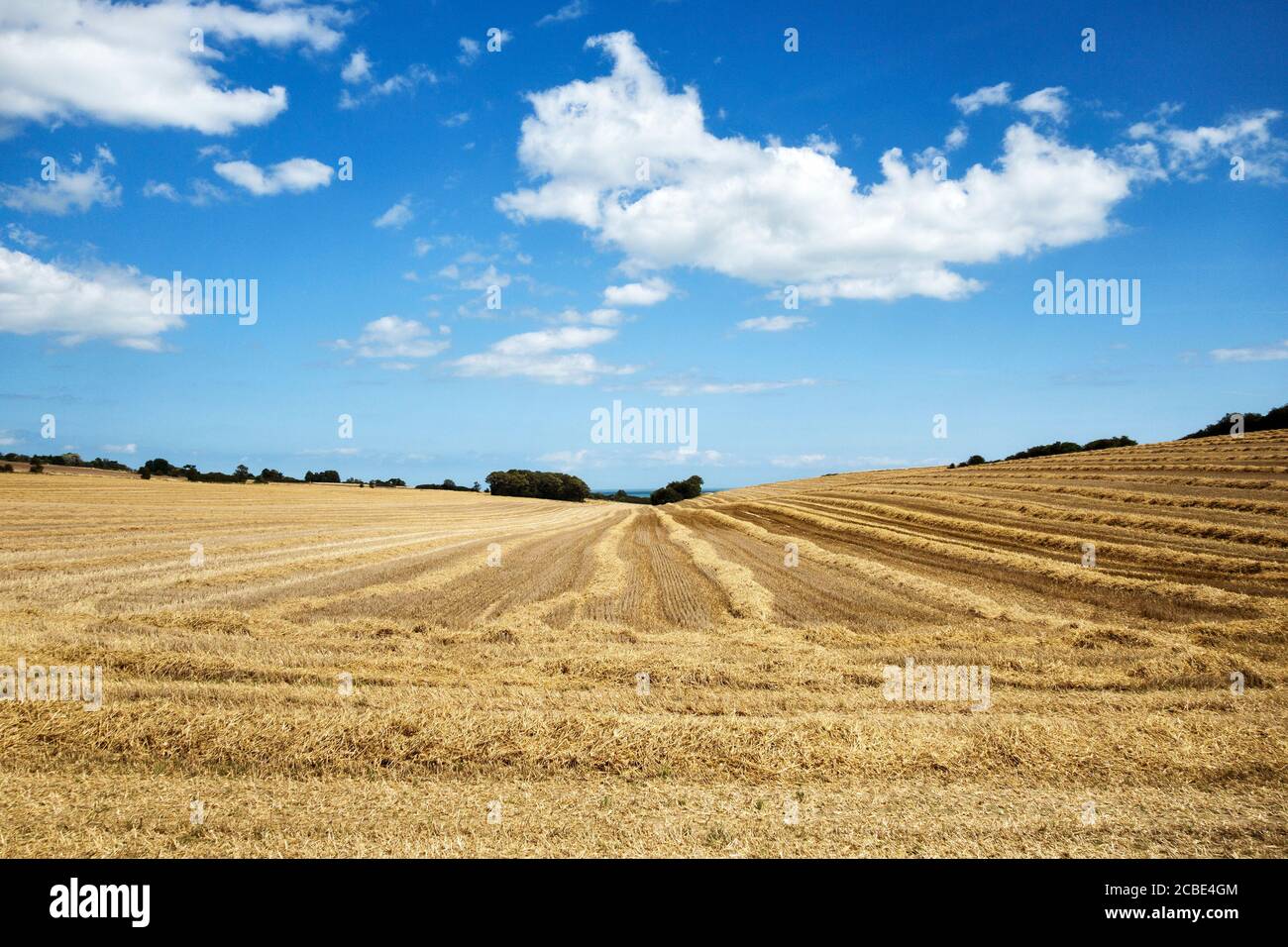 A stubble field in summer after harvest, near Kingsdown, Kent, UK Stock ...