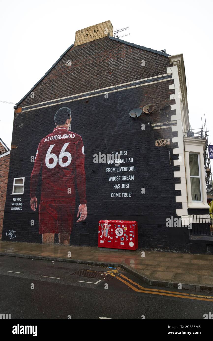 liverpool fc player trent alexanderarnold wall mural sybil road near