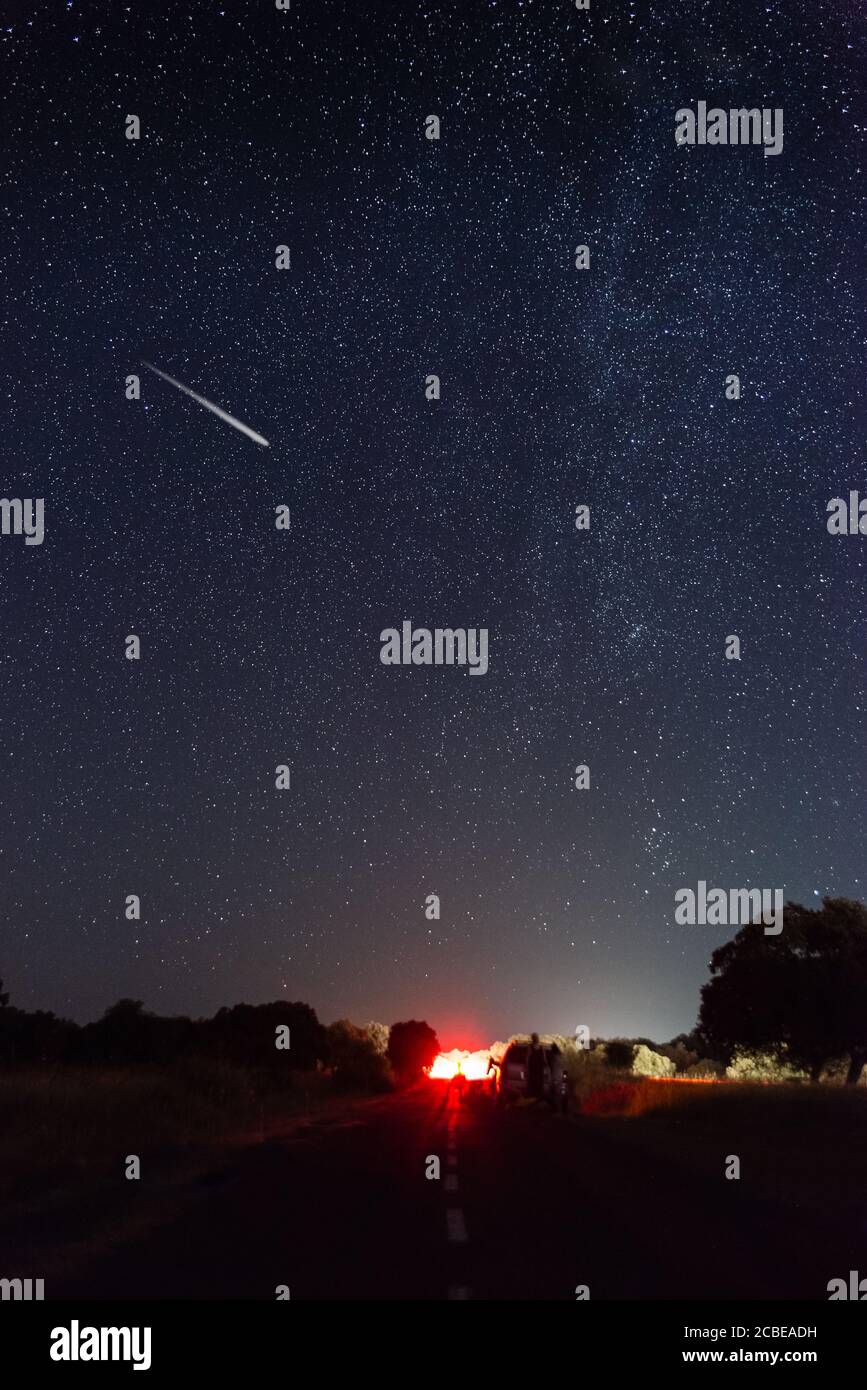 perseids in the pasture of extremadura 2020 Stock Photo