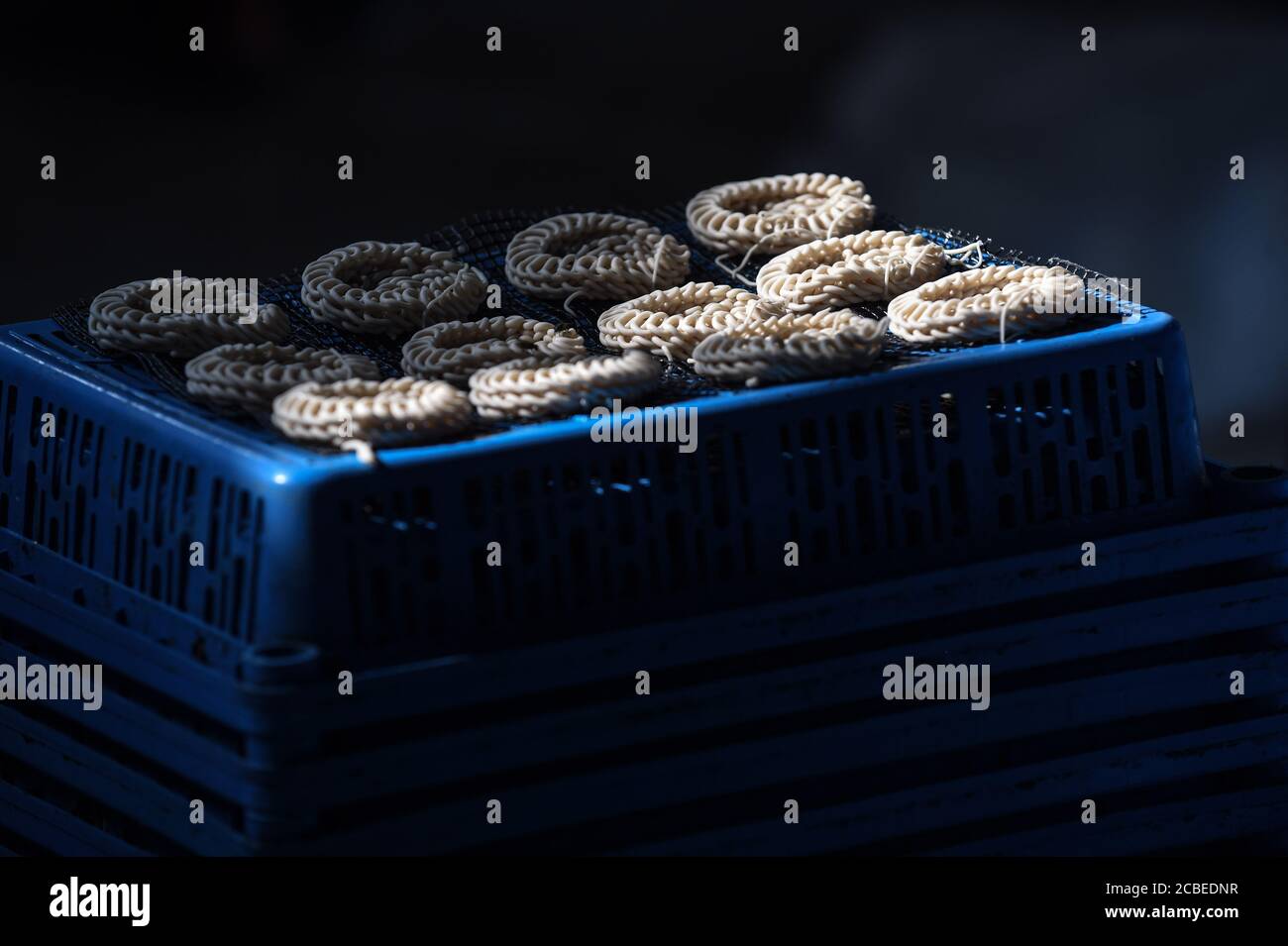 (200813) -- WEST JAVA, Aug. 13, 2020 (Xinhua) -- Uncooked crackers are seen on a tray at a cracker factory in Depok, West Java, Indonesia, Aug. 13, 2020. Indonesia will distribute working capital assistance for 9 million small and medium enterprises (SMEs) to help them revive businesses which have been dashed by the novel coronavirus pandemic, a minister said here on Wednesday. ( Xinhua/Agung Kuncahya B.) Stock Photo