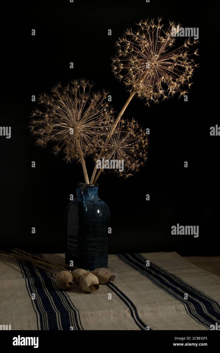 vertical still life of blue vase with dried onion bulb flowers with the seeds in them Stock Photo