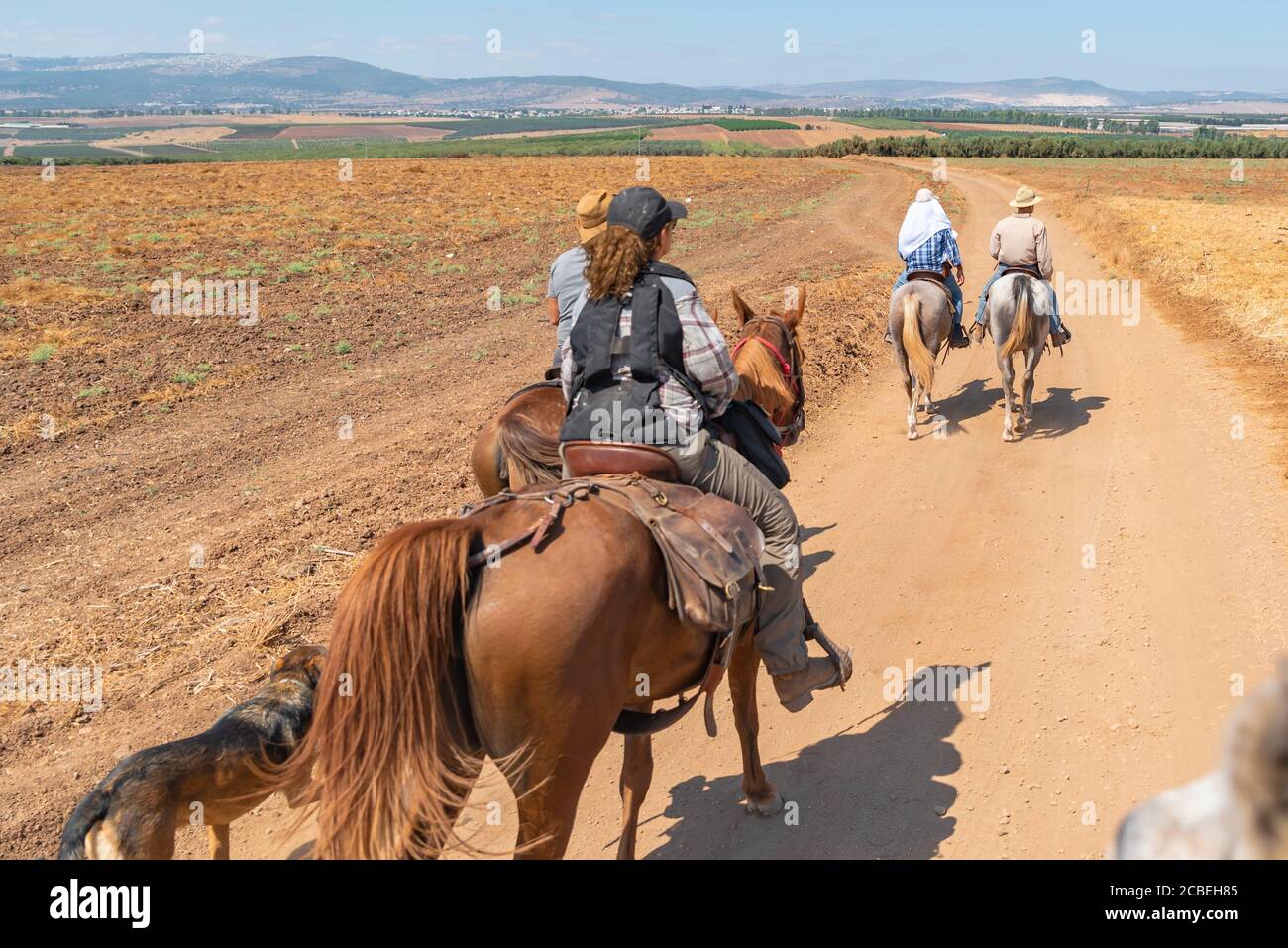 Horse back riding in the Jezreel Valley, Israel. Stock Photo