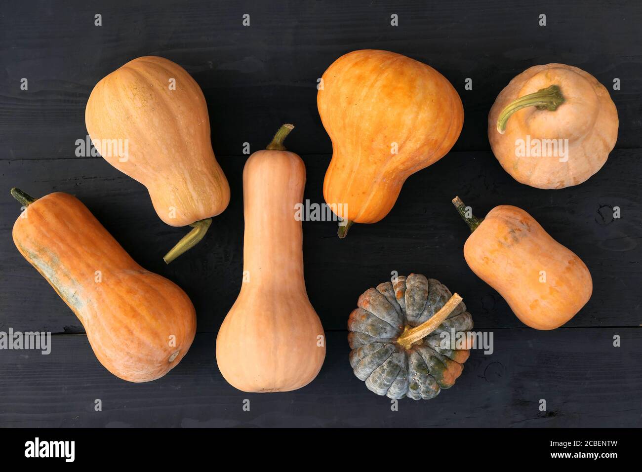 Butternut and moschata organic squashes varieties on black wooden board background. Stock Photo