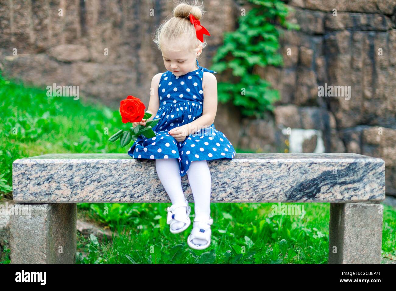 little girl in a dress sits on a bench with a rose Stock Photo - Alamy