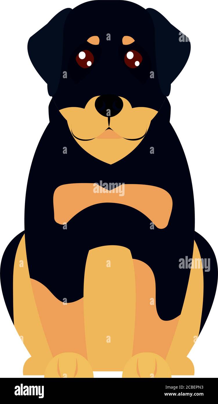 Cartoon Rottweiler Dog Icon Over White Background Flat Style Vector Illustration Stock Vector Image Art Alamy
