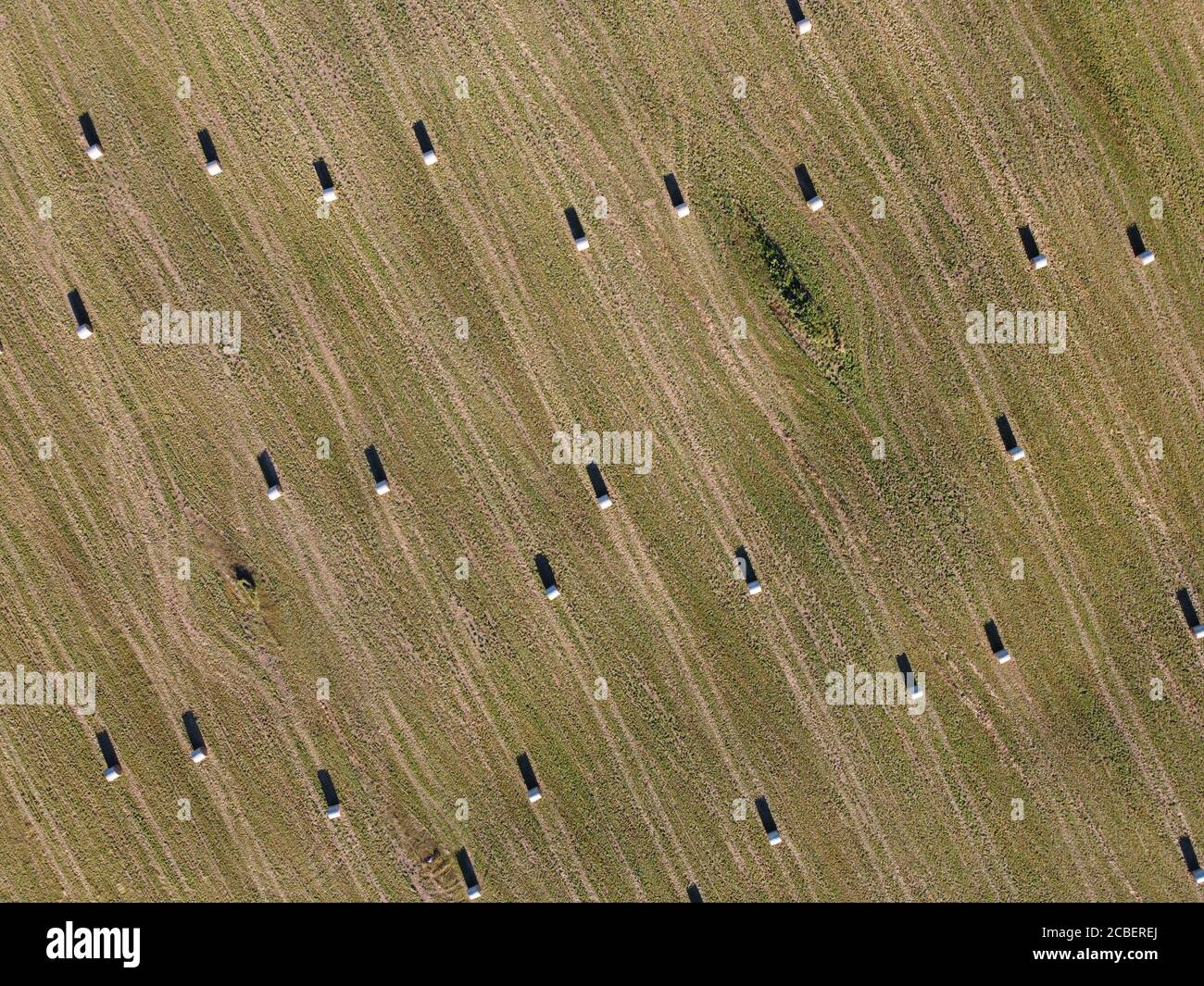 rolls of hay on the field aerial photo Stock Photo